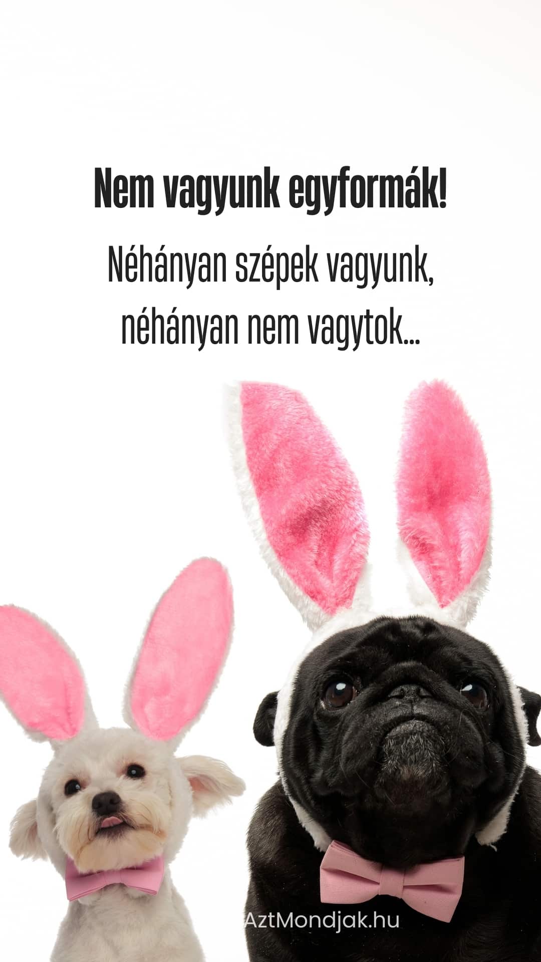 Nem vagyunk egyformák