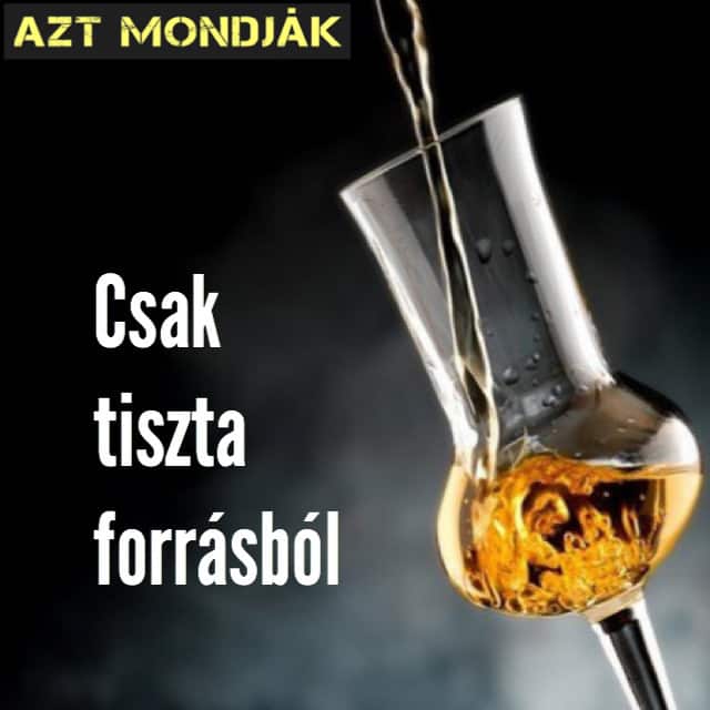 Csak tiszta forrásból. Bartók Béla: Cantata profana.