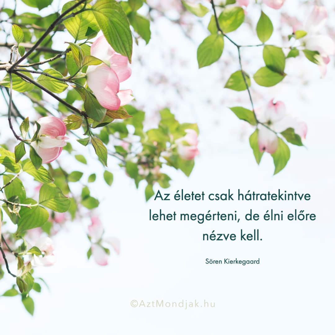 Hogyan lehet megérteni az életet