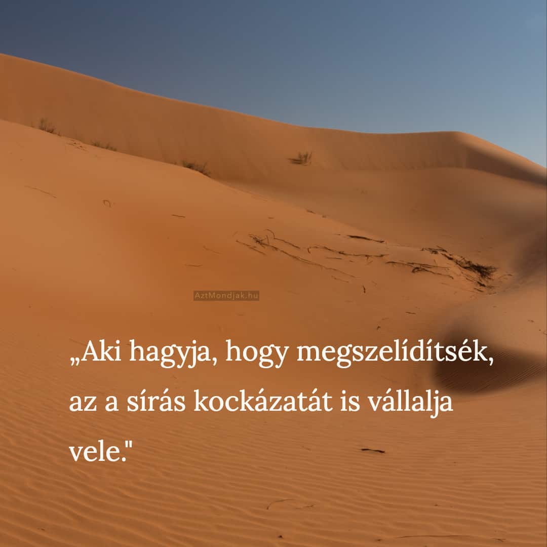 Aki hagyja, hogy megszelídítsék, az a sírás kockázatát is vállalja vele.