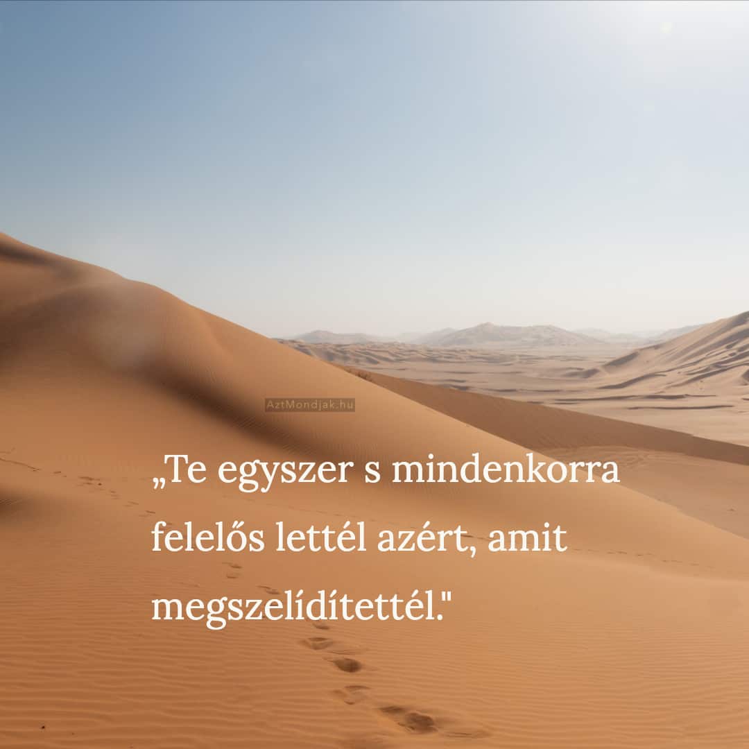 Te egyszer s mindenkorra felelős lettél azért, amit megszelídítettél.