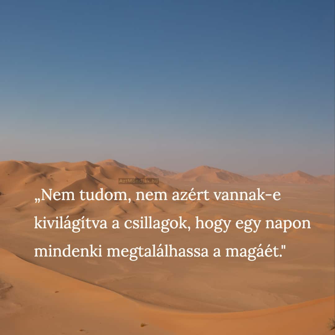 Nem tudom, nem azért vannak-e kivilágítva a csillagok, hogy egy napon mindenki megtalálhassa a magáét.