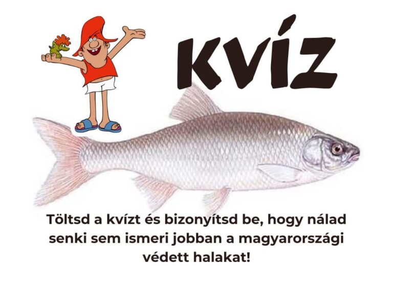 Halas horgász kvíz